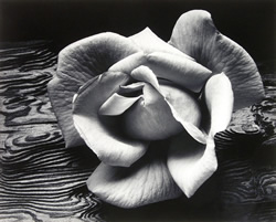 Ansel Adams