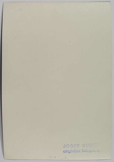 JS5-1031back
