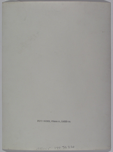 JS5-1155back