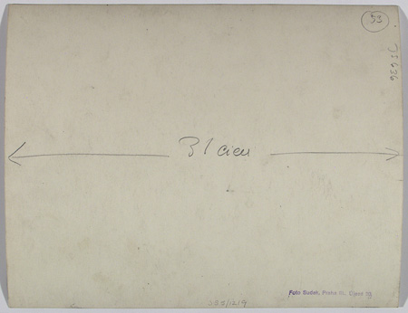 JS5-1219back