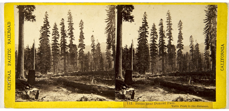 Stereocard