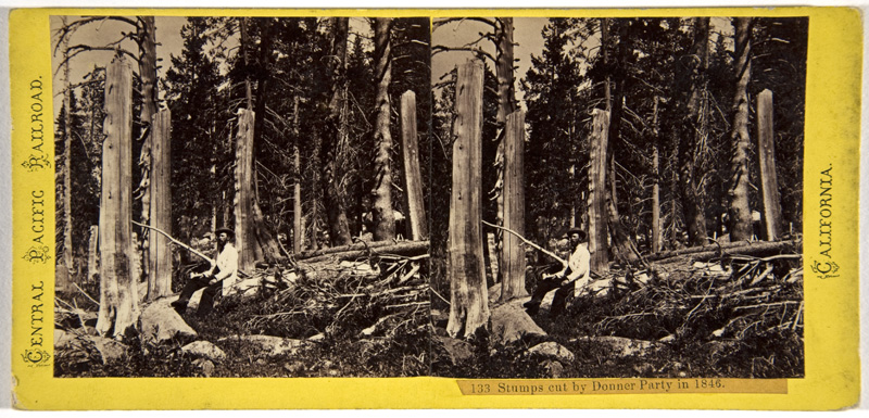 Stereocard