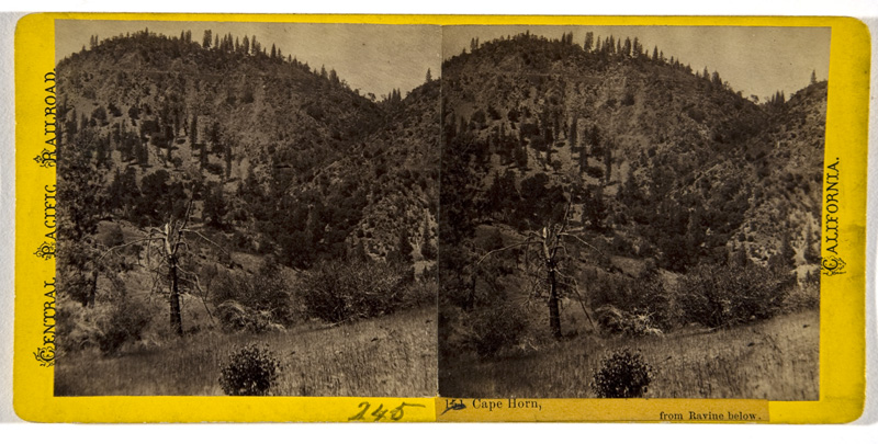 Stereocard