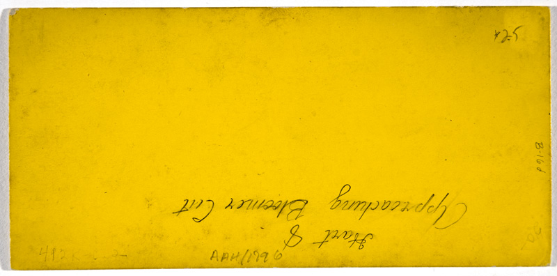 AAH-1796back
