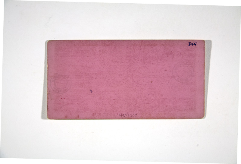 HW-1007back