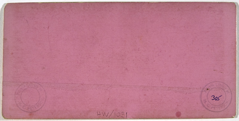 HW-1031back