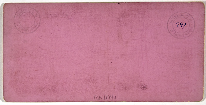 HW-1046back