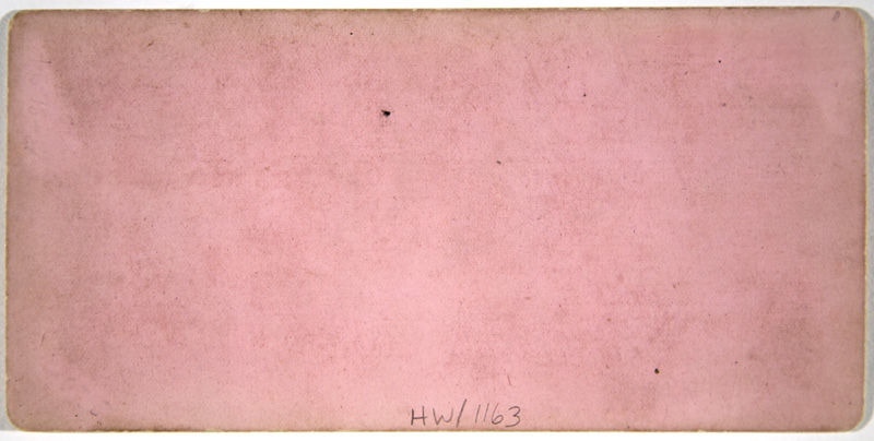 HW-1163back