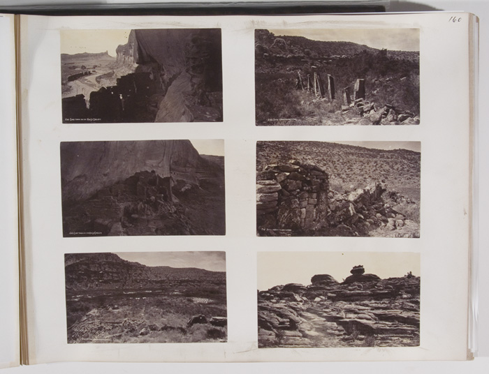 160_whole_page