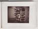 154_whole_page