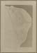 GSW-1007 #17