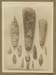 GSW-1007 #38