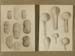 GSW-1007 #39