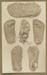 GSW-1007 #47