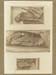 GSW-1007 #50