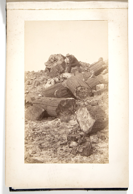 BW2-1221-08