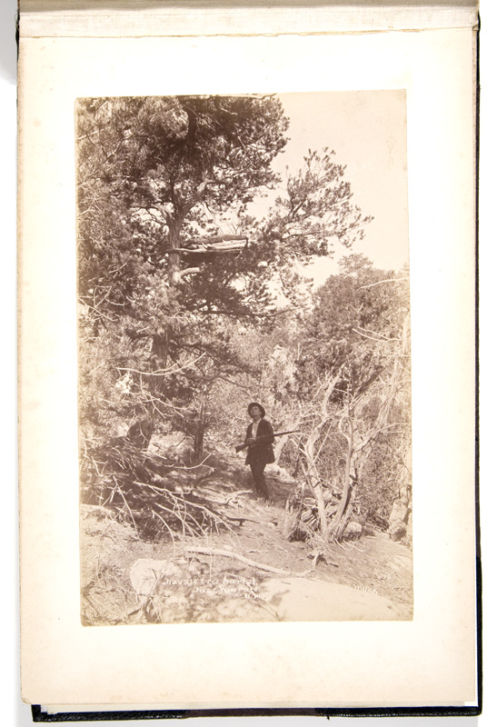 BW2-1221-11