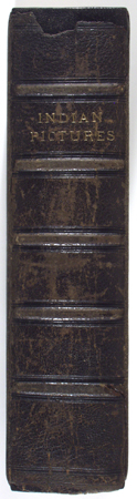 spine